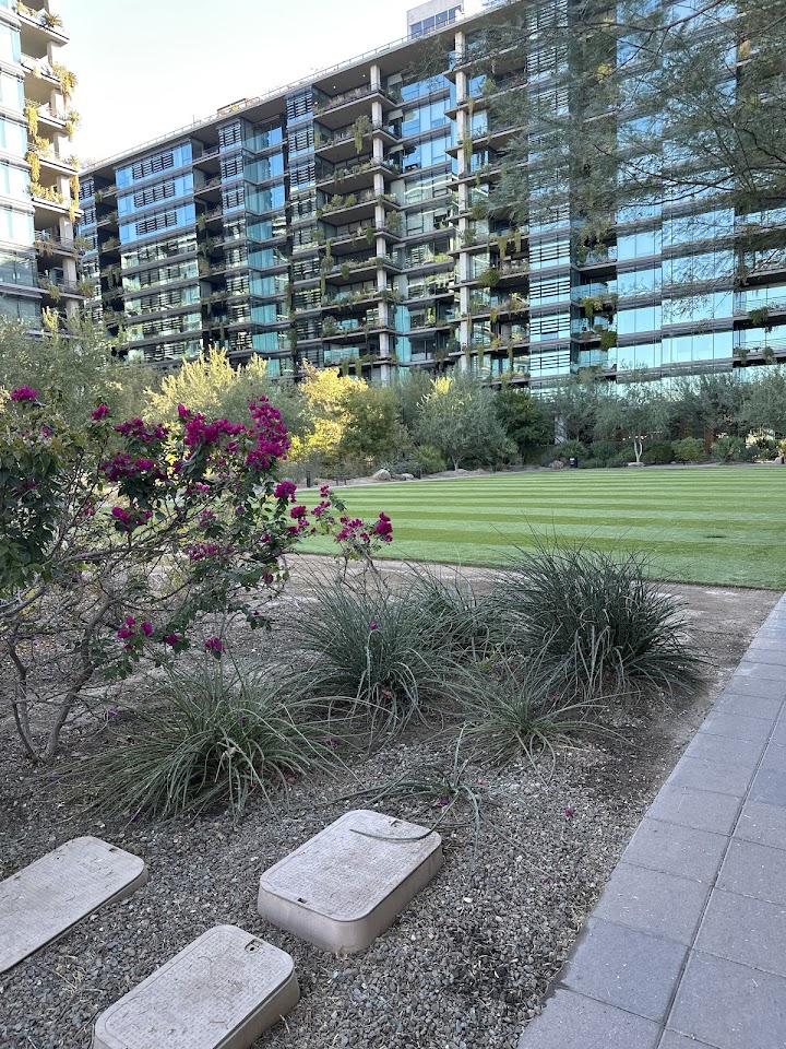 Eliminex Pest, Termite & Weed Control project